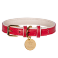 Load image into Gallery viewer, Dog Collar. SALE ITEM!  SALE ITEM!
