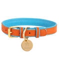 Load image into Gallery viewer, Dog Collar. SALE ITEM!  SALE ITEM!
