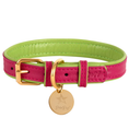 Load image into Gallery viewer, Dog Collar. SALE ITEM!  SALE ITEM!
