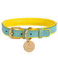 Load image into Gallery viewer, Dog Collar. SALE ITEM!  SALE ITEM!
