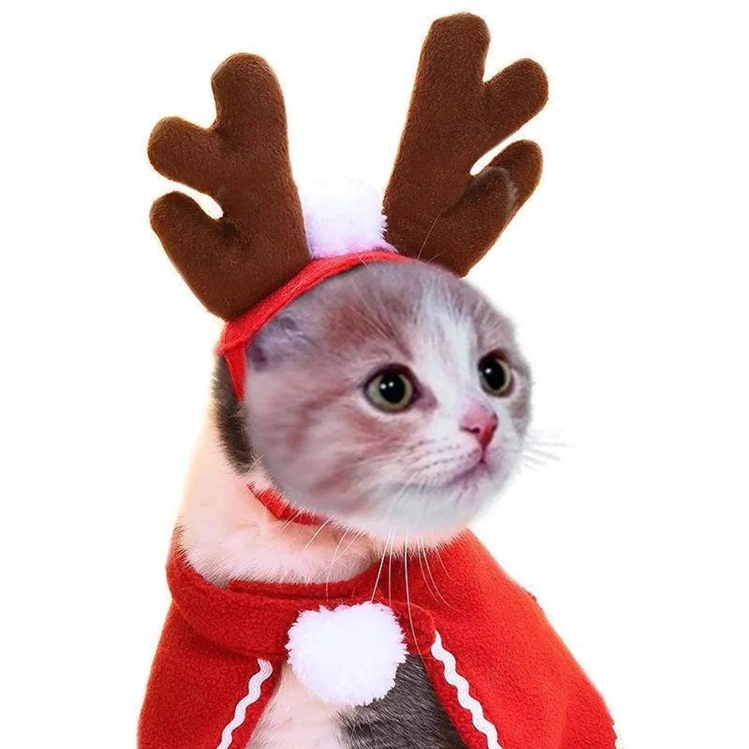 Holiday bells are ringing for your feline or pup friend!