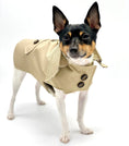 Load image into Gallery viewer, DoggieCoutureNY Classic Trench Coat
