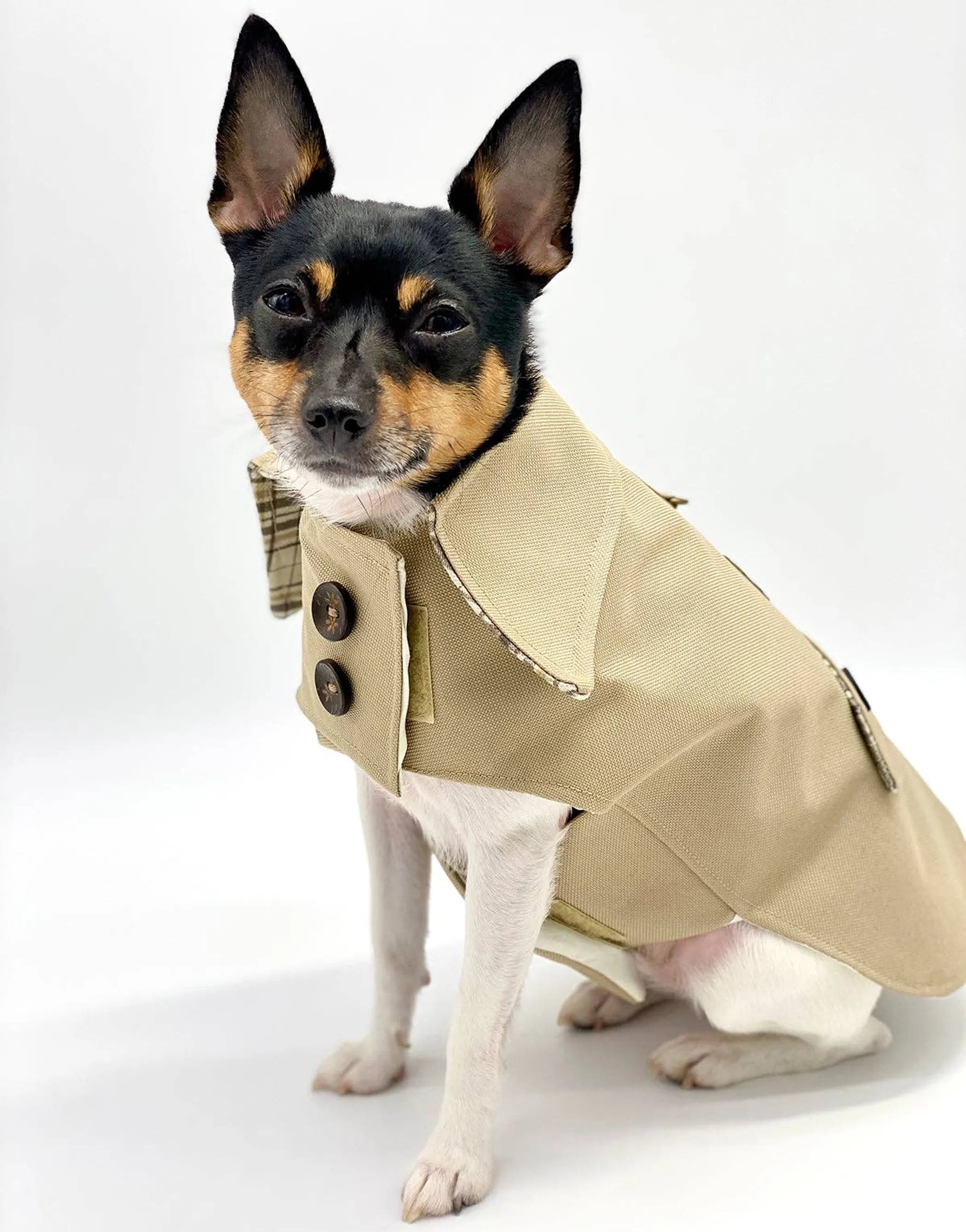 DoggieCoutureNY Classic Trench Coat