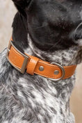 Load image into Gallery viewer, Sierra Sunrise Vegan Leather Dog Collar
