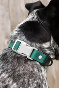 Load image into Gallery viewer, Siberian Spruce Waterproof Dog Collar
